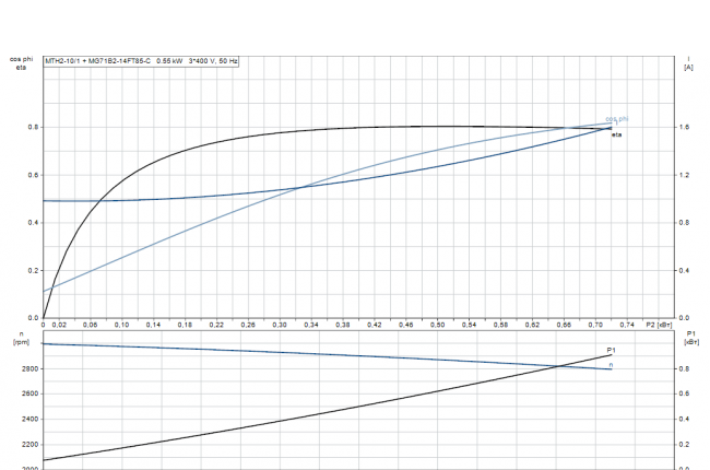 motorcurve motorcurve